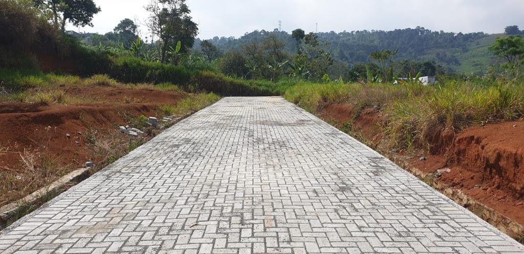 Cara Merawat Paving Block agar Tahan Lama & Tetap Cantik